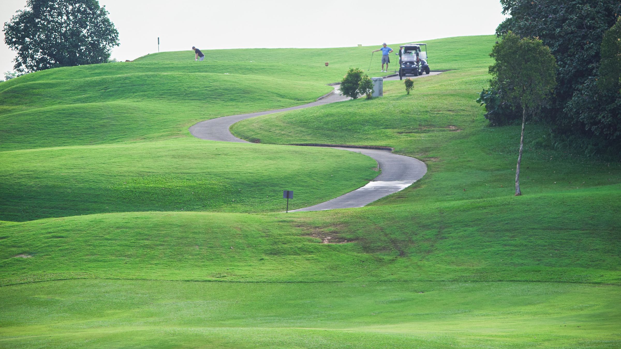 Rolling golf course fairway